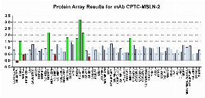 Click to enlarge image Protein Array in which CPTC-MSLN-2 is screened against the NCI60 cell line panel for expression. Data is normalized to a mean signal of 1.0 and standard deviation of 0.5. Color conveys over-expression level (green), basal level (blue), under-expression level (red).