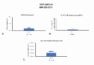 Click to enlarge image Single cell western blot using CPTC-AKT1-4 as a primary antibody against cell lysates.  Phosphorylated AKT1 protein was detected.  Relative expression of total AKT1 in MCF7 cells (A).  Percentage of cells that express AKT1 (B).  Average expression of AKT1 protein per cell (C).  All data is normalized to β-tubulin expression.