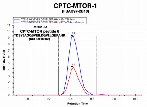 Click to enlarge image Immuno-MRM chromatogram of CPTC-MTOR-1 antibody with CPTC-MTOR peptide 6 (NCI ID#00165) as target