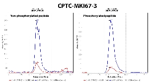 Click to enlarge image Immuno-MRM chromatogram of CPTC-MKI67-3 antibody (see CPTAC assay portal for details: https://assays.cancer.gov/CPTAC-5908 for non-phosphorylated peptide and https://assays.cancer.gov/CPTAC-5909  for phosphorylated peptide)
Data provided by the Paulovich Lab, Fred Hutch (https://research.fredhutch.org/paulovich/en.html). Data shown were obtained from cell lysate.