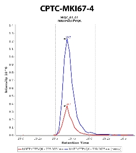 Click to enlarge image Immuno-MRM chromatogram of CPTC-MKI67-4  antibody (see CPTAC assay portal for details: https://assays.cancer.gov/CPTAC-5910)
Data provided by the Paulovich Lab, Fred Hutch (https://research.fredhutch.org/paulovich/en.html). Data shown were obtained from cell lysate.