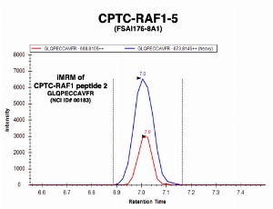 Click to enlarge image Immuno-MRM chromatogram of CPTC-RAF1-5 antibody with CPTC-RAF1 peptide 2 (NCI ID#183) as target