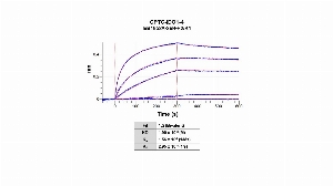 Click to enlarge image The affinity and binding kinetics of CPTC-IDO1-4 antibody and BSA-conjugated peptide &ldquo;NIAVPYCQLSK" were measured using biolayer interferometry. BSA-conjugated peptide was covalently immobilized onto AR2G biosensors using standard amine coupling.   CPTC-IDO1-4 antibody, 1024 nM, 256 nM, 64 nM, 4 nM, and 0.25 nM, was used as analyte. Buffer only and biosensors immobilized without BSA-conjugated peptide were used as references for background subtraction. All data was analyzed globally using a 1:2 bivalent model.
