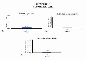 Click to enlarge image Single cell western blot using CPTC-PAXBP1-1 as a primary antibody against cell lysates.  Relative expression of total PAXBP1 in EL4 cells (A).  Percentage of cells that express PAXBP1 (B).  Average expression of PAXBP1 protein per cell (C).  All data is normalized to &beta;-tubulin expression.  PAXBP1 protein expression was not detected in Jurkat cell lysate.