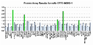 Click to enlarge image Protein Array in which CPTC-MSH3-1 is screened against the NCI60 cell line panel for expression. Data is normalized to a mean signal of 1.0 and standard deviation of 0.5. Color conveys over-expression level (green), basal level (blue), under-expression level (red).