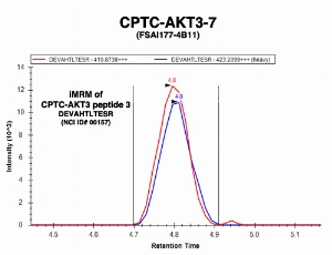 Click to enlarge image Immuno-MRM chromatogram of CPTC-AKT3-7 antibody with CPTC-AKT3 peptide 3 (NCI ID#00157) as target