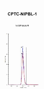 Click to enlarge image iMRM Chromatogram of antibody CPTC-NIPBL-1