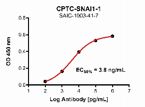 点击放大图像，使用CPTC-SNAI1-1作为全长SNAIL蛋白的主要抗体的间接ELISA。