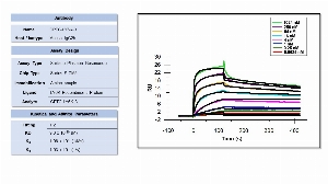 Click to enlarge image Affinity and binding kinetics of CPTC-LY6K-3 and full length LY6K recombinant protein were measured using surface plasmon resonance. LY6K recombinant protein was amine coupled onto a Series S CM5 biosensor chip.  CPTC-LY6K-3 antibody was used as analyte and was titrated at 1024 nM, 256 nM, 64 nM, 16 nM, 4 nM, 1 nM, 0.25 nM, and 0.0625 nM. All binding data were double-referenced and analyzed globally using a 1:2 bivalent fitting model.