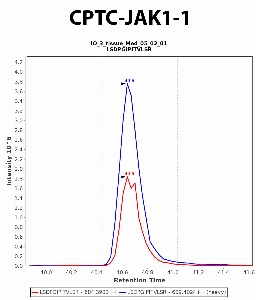 Click to enlarge image Immuno-MRM chromatogram of CPTC-JAK1-1 antibody (see CPTAC assay portal for details: https://assays.cancer.gov/CPTAC-6216)
Data provided by the Paulovich Lab, Fred Hutch (https://research.fredhutch.org/paulovich/en.html). Data shown were obtained from frozen tissue