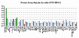 Click to enlarge image Protein Array in which CPTC-MPO-2 is screened against the NCI60 cell line panel for expression. Data is normalized to a mean signal of 1.0 and standard deviation of 0.5. Color conveys over-expression level (green), basal level (blue), under-expression level (red).