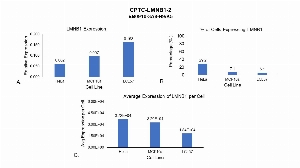 Click to enlarge image Single cell western blot using CPTC-LMNB1-2 as a primary antibody against cell lysates. Relative expression of total LMNB1 in HeLa, MCF10A, and LCL57 cells (A).  Percentage of cells that express LMNB1 (B). Average expression of LMNB1 protein per cell (C). All data is normalized to β-tubulin expression.
