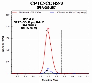 Click to enlarge image Immuno-MRM chromatogram of CPTC-CDH2-2 antibody with CPTC-CDH2 peptide 2 (NCI ID#173) as target
