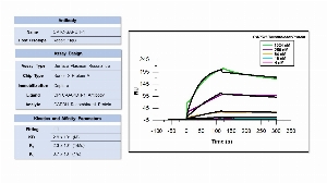 Click to enlarge image Affinity and binding kinetics of CPTC-GAPDH-1 and full-length GAPDH recombinant protein were measured using surface plasmon resonance. CPTC-GADPH-1 antibody was captured on protein A biosensor chip. GADPH recombinant protein at 1024 nM, 256 nM, 64 nM, 16 nM, and 4 nM,  was used as analyte. All binding data were double referenced and analyzed globally using a 1:1 fitting model.