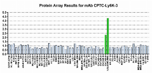 Click to enlarge image Protein Array in which CPTC-Ly6K-3 is screened against the NCI60 cell line panel for expression. Data is normalized to a mean signal of 1.0 and standard deviation of 0.5. Color conveys over-expression level (green), basal level (blue), under-expression level (red).