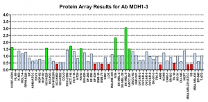 Click to enlarge image Protein Array in which CPTC-MDH1-3 is screened against the NCI60 cell line panel for expression. Data is normalized to a mean signal of 1.0 and standard deviation of 0.5. Color conveys over-expression level (green), basal level (blue), under-expression level (red).