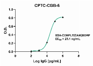 Click to enlarge image Indirect ELISA using CPTC-CGB-6 as primary antibody against BSA-conjugated Chorionic Gonadotropin Subunit Beta Peptide 2 (BSA-CDHPLT(CAM)DDRP).