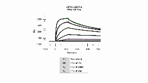 Click to enlarge image The affinity and binding kinetics of CPTC-CD27-3 and human CD27 recombinant protein were measured using surface plasmon resonance.  Buffer exchanged CD27 recombinant protein was amine coupled onto a Series S CM5 chip.  CPTC-CD27-3 antibody at, 1024 nM, 256 nM, 64 nM, 16 nM, 4 nM, 1 nM and 0.25 nM, was used as analyte. Binding data were double-referenced and analyzed globally using a bivalent fitting model.