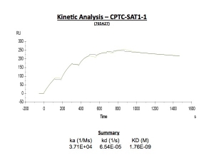 Click to enlarge image This summarizes the kinetic data obtained with CPTC-SAT1-1