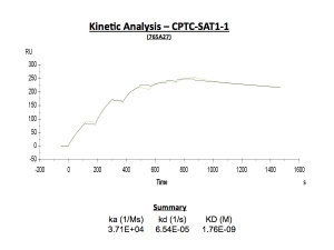 点击放大图像。这总结了使用CPTC-SAT1-1获得的动力学数据