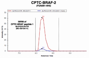Click to enlarge image Immuno-MRM chromatogram of CPTC-BRAF-2 antibody with CPTC-BRAF peptide 1 (NCI ID#177) as target