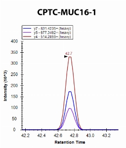 Click to enlarge image iMRM screening of CPTC-MUC16-1 against synthetic peptide ELGPYTLDR  (Mucin 16 Peptide 1)

Data provided by the Carr Lab, Broad Institute
https://www.broadinstitute.org/proteomics/protocols