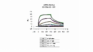 Click to enlarge image The affinity and binding kinetics of CPTC-IDO1-4 antibody and BSA-conjugated peptide, “NIAVPYCQLSK”, were measured using surface plasmon resonance. Peptide was amine coupled onto a Series S CM5 biosensor chip. Antibody at 1024 nM, 256 nM, 64 nM, 16 nM, 4 nM, 1.0 nM and 0.25 nM, was used as analyte. Binding data were double-referenced and analyzed globally using a bivalent fitting model.