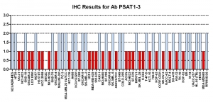 Click to enlarge image 
Immunohistochemistry of CPTC-PSAT1-3 for NCI60 Cell Line Array. Data scored as:
0=NEGATIVE
1=WEAK (red)
2=MODERATE (blue)
3=STRONG (green)
Titer: 1:50