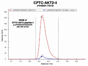 Click to enlarge image Immuno-MRM chromatogram of CPTC-AKT2-4 antibody with CPTC-AKT2 peptide 4 (NCI ID#00153) as target