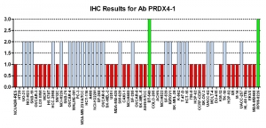 Click to enlarge image Immunohistochemistry of CPTC-PRDX4-1 for NCI60 Cell Line Array. Data scored as:
0=NEGATIVE
1=WEAK (red)
2=MODERATE (blue)
3=STRONG (green)
Titer: 1:5000
