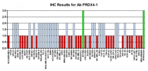 Click to enlarge image Immunohistochemistry of CPTC-PRDX4-1 for NCI60 Cell Line Array. Data scored as:
0=NEGATIVE
1=WEAK (red)
2=MODERATE (blue)
3=STRONG (green)
Titer: 1:5000
