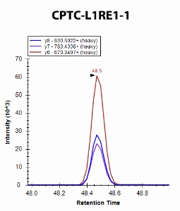 Click to enlarge image iMRM screening of CPTC-L1RE1-1 against synthetic peptide LSFISEGEIK (LINE1 Retrotransposable Element 1 Peptide 1)

Data provided by the Carr Lab, Broad Institute
https://www.broadinstitute.org/proteomics/protocols