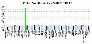 Click to enlarge image Protein Array in which CPTC-TIMP1-2 is screened against the NCI60 cell line panel for expression. Data is normalized to a mean signal of 1.0 and standard deviation of 0.5. Color conveys over-expression level (green), basal level (blue), under-expression level (red).