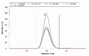 Click to enlarge image iMRM screenign of CPTC-SCAMP#-1 against synthetic peptide NYGS-pY-STQASAAAATAELLK. THe antibody is not able to pull down the peptide NYGSYSTQASAAAATAELLK.