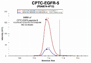 Click to enlarge image Immuno-MRM chromatogram of CPTC-EGFR-5 antibody with CPTC-EGFR peptide 8 (NCI ID#00280) as target