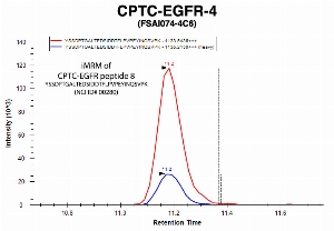 Click to enlarge image Immuno-MRM chromatogram of CPTC-EGFR-4 antibody with CPTC-EGFR peptide 8 (NCI ID#00280) as target