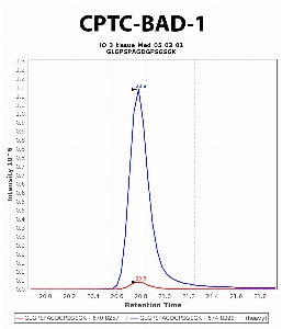 Click to enlarge image Immuno-MRM chromatogram of CPTC-BAD-1 antibody (see CPTAC assay portal for details: https://assays.cancer.gov/CPTAC-6213)
Data provided by the Paulovich Lab, Fred Hutch (https://research.fredhutch.org/paulovich/en.html). Data shown were obtained from frozen tissue