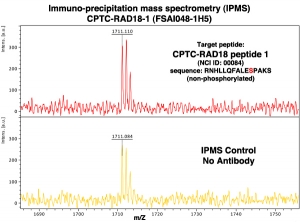 Click to enlarge image Immuno-Precipitation Mass Spectrometry using CPTC-RAD18-1 antibody with CPTC-RAD18 peptide 1 (non-phosphorylated) as the target antigen.