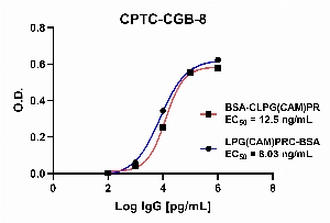 Click to enlarge image Indirect ELISA using CPTC-CGB-8 as primary antibody against BSA-conjugated Chorionic Gonadotropin Subunit Beta Peptide 3 (LPG(CAM)PRC-BSA) and BSA-conjugated Chorionic Gonadotropin Subunit Beta Peptide 3 (BSA-CLPG(CAM)PR).