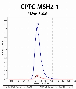 Click to enlarge image Immuno-MRM chromatogram of CPTC-MSH2-1 antibody (see CPTAC assay portal for details: https://assays.cancer.gov/CPTAC-6240)
Data provided by the Paulovich Lab, Fred Hutch (https://research.fredhutch.org/paulovich/en.html). Data shown were obtained from frozen tissue