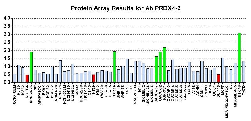 Click to enlarge image Protein Array in which CPTC-PRDX4-2 is screened against the NCI60 cell line panel for expression. Data is normalized to a mean signal of 1.0 and standard deviation of 0.5. Color conveys over-expression level (green), basal level (blue), under-expression level (red).