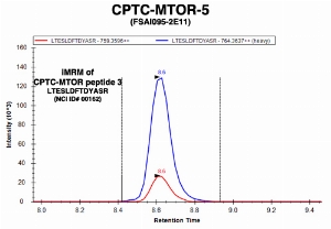 Click to enlarge image mmuno-MRM chromatogram of CPTC-MTOR-5 antibody with CPTC-MTOR peptide 3 (NCI ID#00162) as target