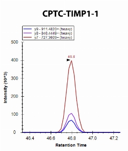 Click to enlarge image iMRM screening of CPTC-TIMP1-1 against synthetic peptide GFQALGDAADIR (TIMP Metallopeptidase Inhibitor 1 Peptide 1)

Data provided by the Carr Lab, Broad Institute
https://www.broadinstitute.org/proteomics/protocols