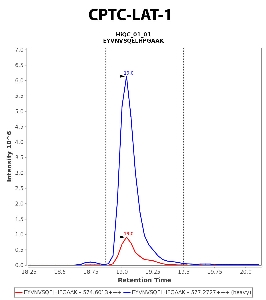 点击放大CPTC-LAT-1抗体的免疫-MRM色谱图（详见CPTAC分析门户：https://assesss.cancer.gov/CPTAC-5889)数据由弗雷德·哈奇Paulovich实验室提供(https://research.fredhutch.org/paulovich/en.html). 所示数据来自细胞裂解液。