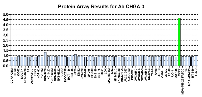 Click to enlarge image Protein Array in which CPTC-CHGA-3 is screened against the NCI60 cell line panel for expression. Data is normalized to a mean signal of 1.0 and standard deviation of 0.5. Color conveys over-expression level (green), basal level (blue), under-expression level (red).