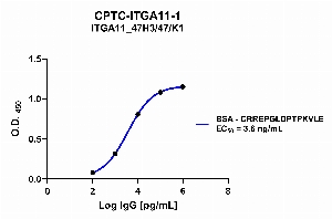 Click to enlarge image Indirect ELISA using CPTC-ITGA11-1 as primary antibody against BSA-conjugated peptide “CRREPGLDPTPKVLE”.