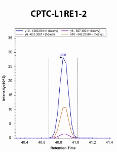 Click to enlarge image iMRM screening of CPTC-L1RE1-2 against synthetic peptide LIGVPESDVENGTK (LINE1 Retrotransposable Element 1 Peptide 2)

Data provided by the Carr Lab, Broad Institute
https://www.broadinstitute.org/proteomics/protocols
