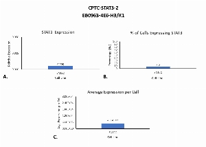 Click to enlarge image Single cell western blot using CPTC-STAT3-2 as a primary antibody against cell lysates.  Relative expression of total STAT3 in SNC12 cells (A).  Percentage of cells that express STAT3 (B).  Average expression of STAT3 protein per cell (C).  All data is normalized to β-tubulin expression.