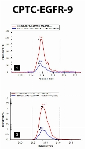 Click to enlarge image iMRM screening results for clone CPTC-EGFR-9. The clone is able to pull down the target peptide (panel 1, CPTC-EGFR Peptide 4, GSHQISLDNPD(pY)QQDFFPK) and the correspondent non-phosphorylated peptide (panel 2, GSHQISLDNPDYQQDFFPK)