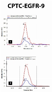 Click to enlarge image iMRM screening results for clone CPTC-EGFR-9. The clone is able to pull down the target peptide (panel 1, CPTC-EGFR Peptide 4, GSHQISLDNPD(pY)QQDFFPK) and the correspondent non-phosphorylated peptide (panel 2, GSHQISLDNPDYQQDFFPK)

Data provided by the Paulovich Lab, Fred Hutch (https://research.fredhutch.org/paulovich/en.html)